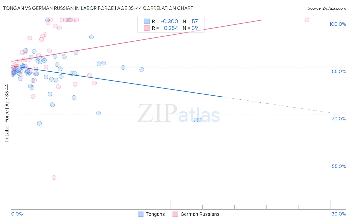 Tongan vs German Russian In Labor Force | Age 35-44