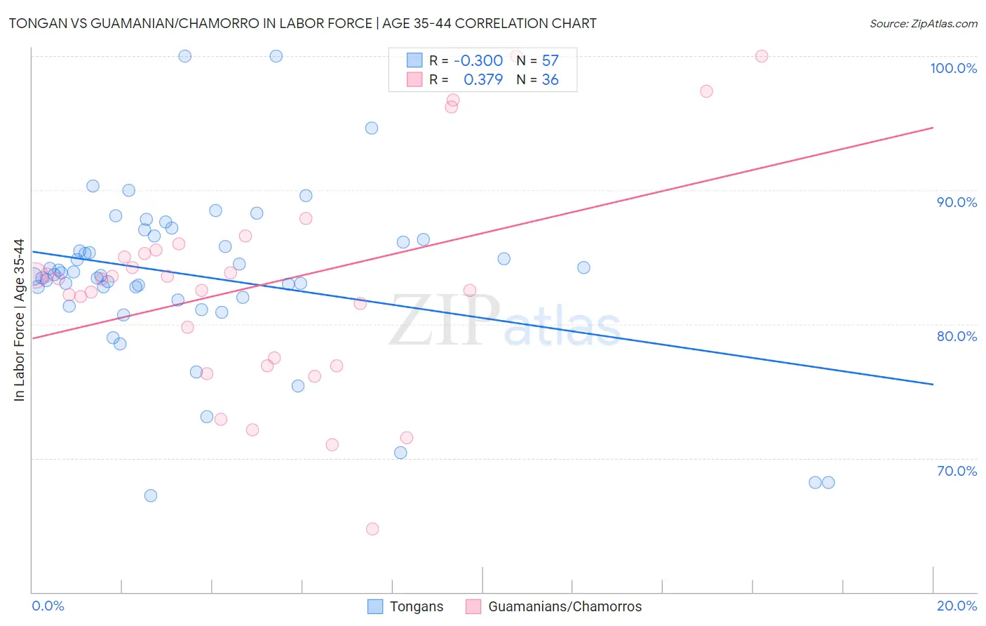 Tongan vs Guamanian/Chamorro In Labor Force | Age 35-44