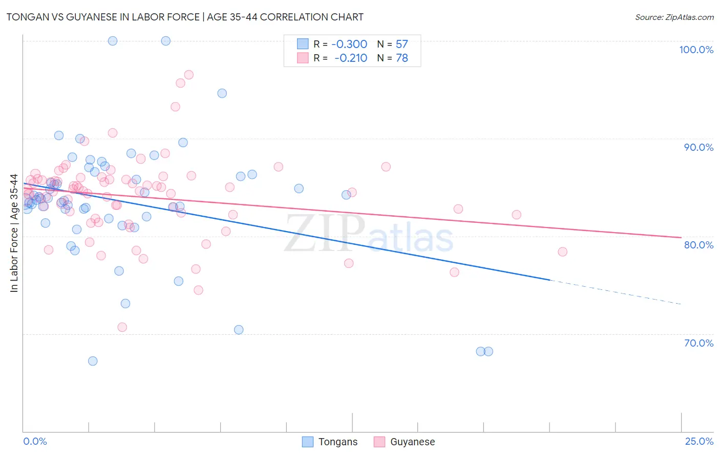 Tongan vs Guyanese In Labor Force | Age 35-44