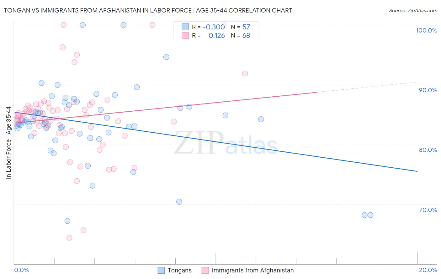 Tongan vs Immigrants from Afghanistan In Labor Force | Age 35-44