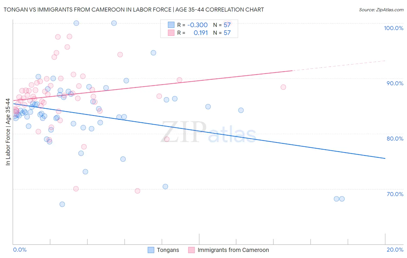 Tongan vs Immigrants from Cameroon In Labor Force | Age 35-44