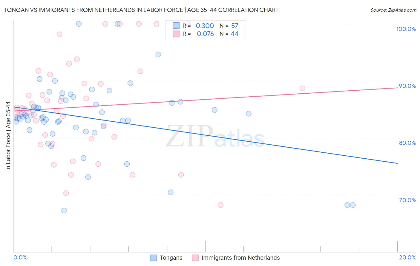 Tongan vs Immigrants from Netherlands In Labor Force | Age 35-44