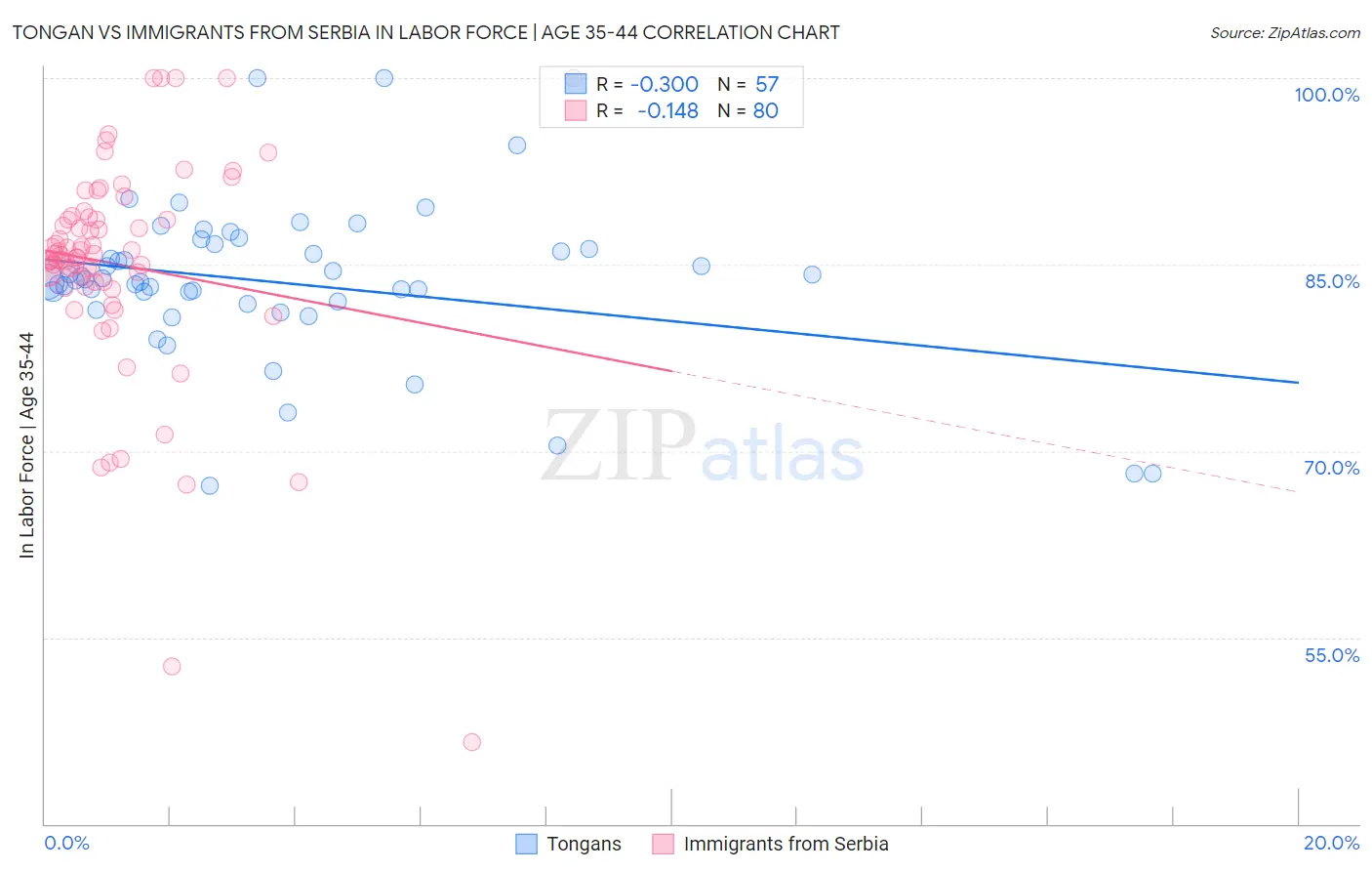 Tongan vs Immigrants from Serbia In Labor Force | Age 35-44