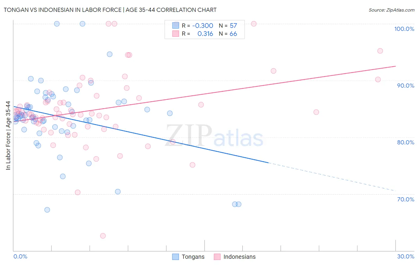 Tongan vs Indonesian In Labor Force | Age 35-44