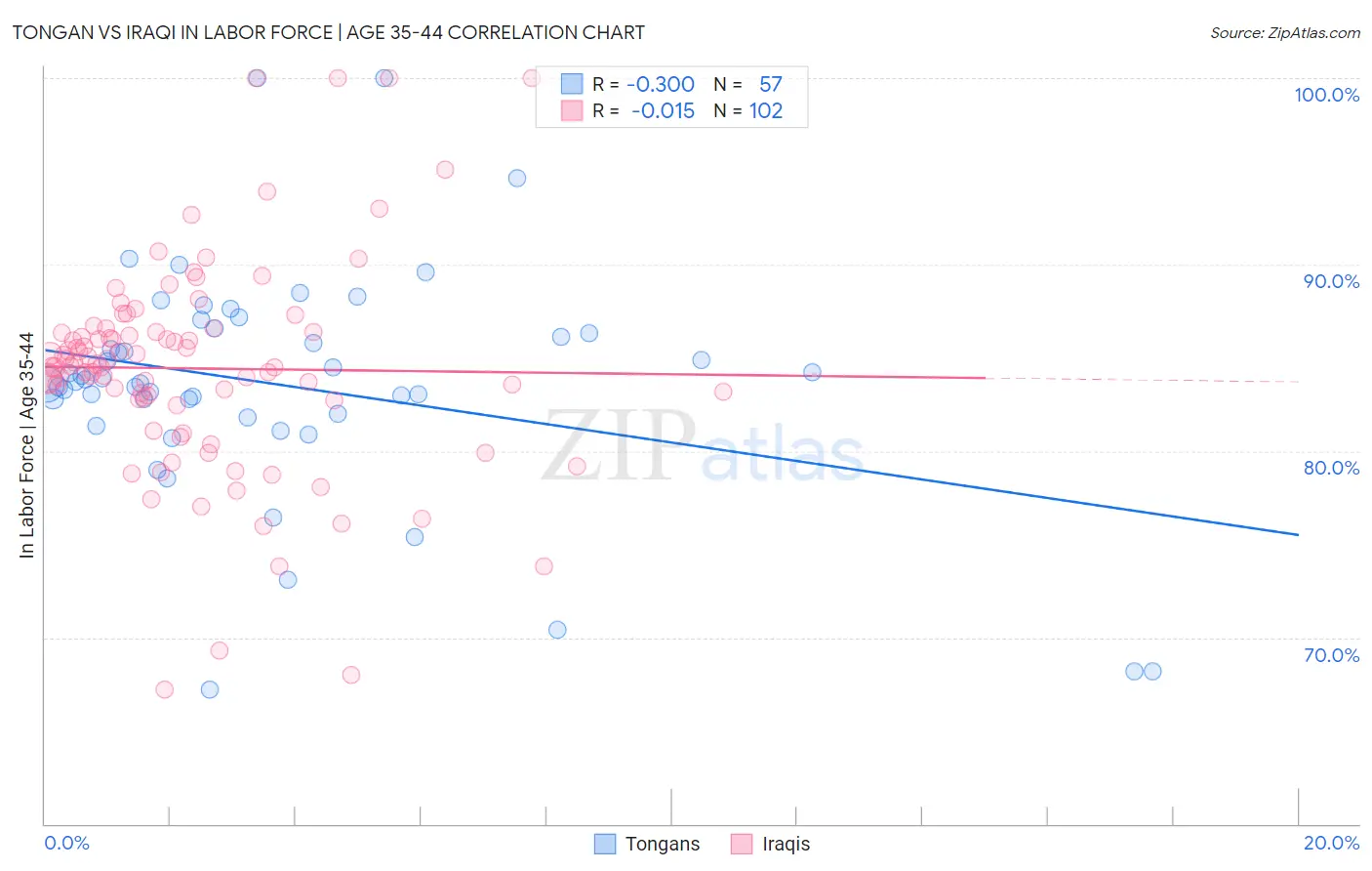 Tongan vs Iraqi In Labor Force | Age 35-44
