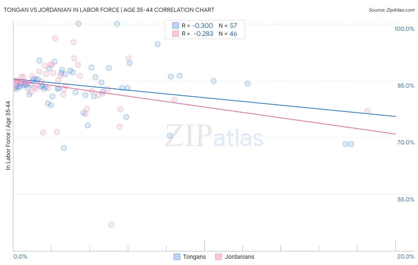 Tongan vs Jordanian In Labor Force | Age 35-44