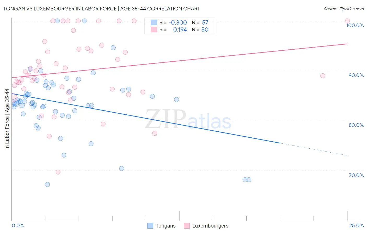 Tongan vs Luxembourger In Labor Force | Age 35-44