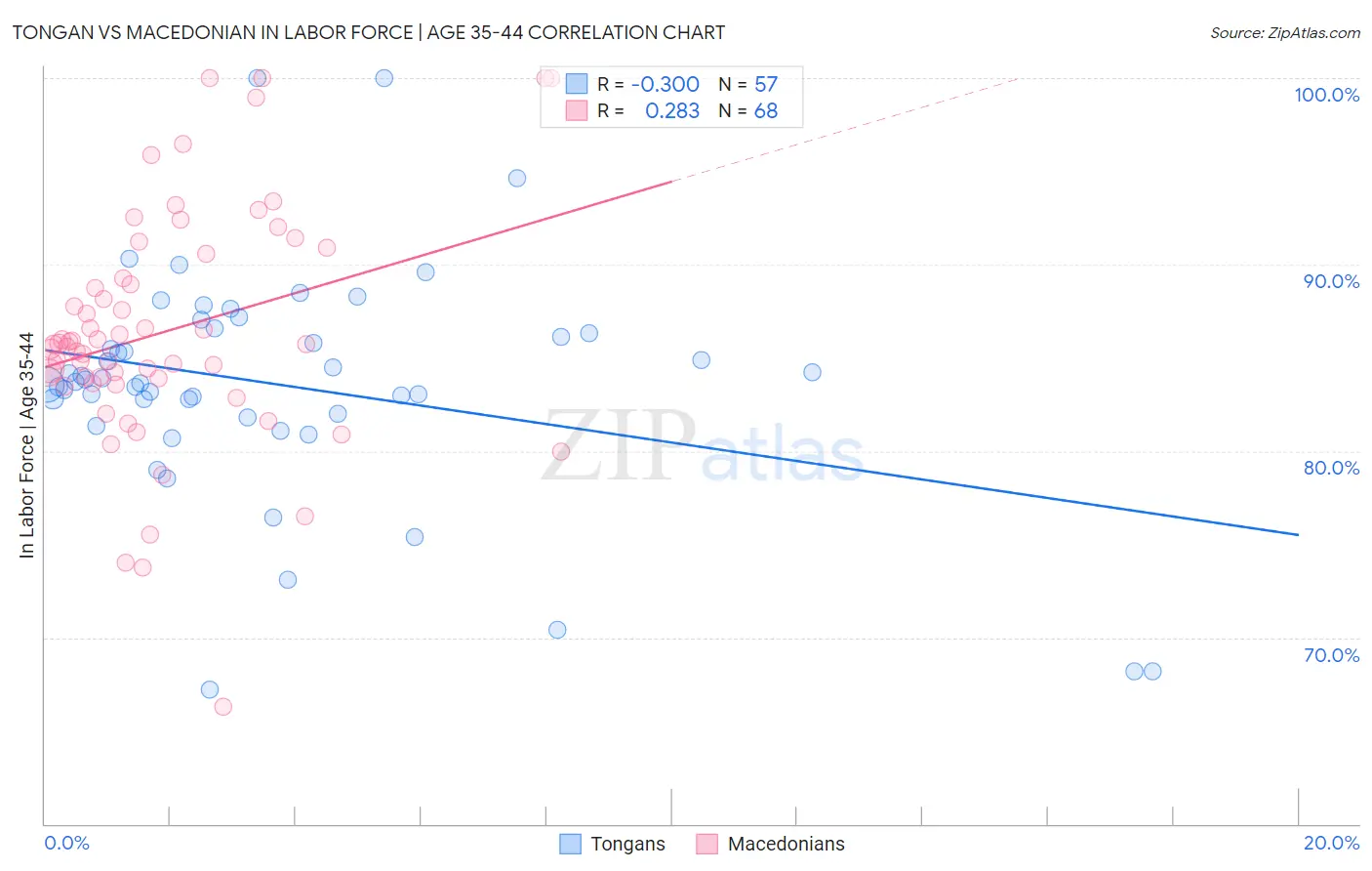 Tongan vs Macedonian In Labor Force | Age 35-44