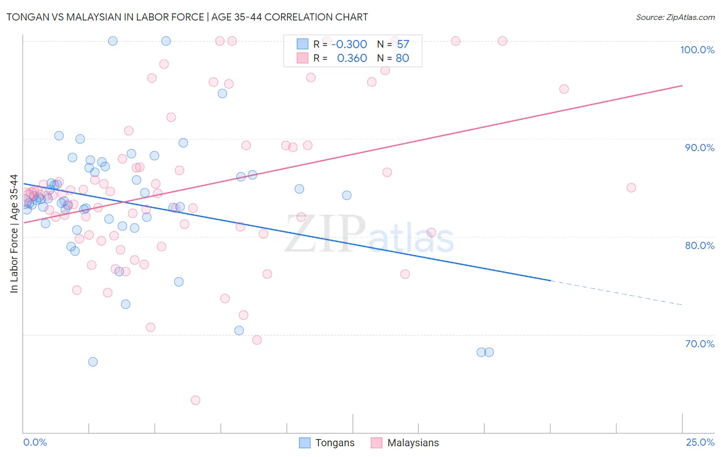 Tongan vs Malaysian In Labor Force | Age 35-44