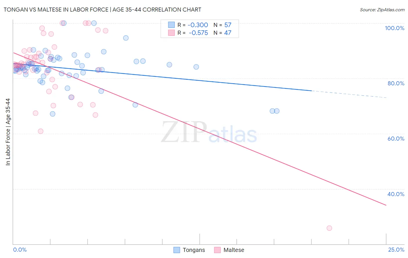 Tongan vs Maltese In Labor Force | Age 35-44