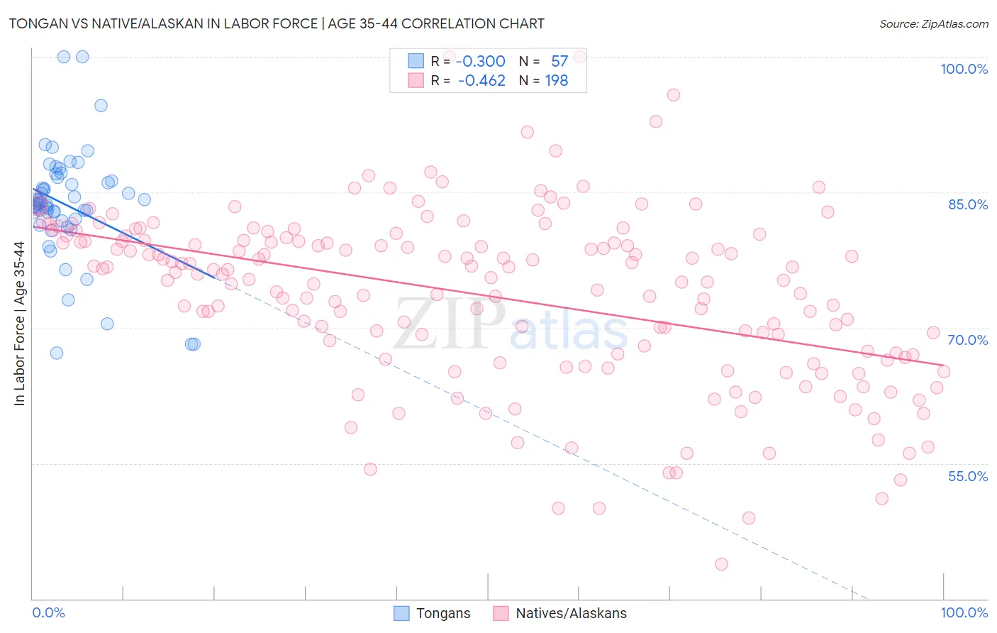 Tongan vs Native/Alaskan In Labor Force | Age 35-44