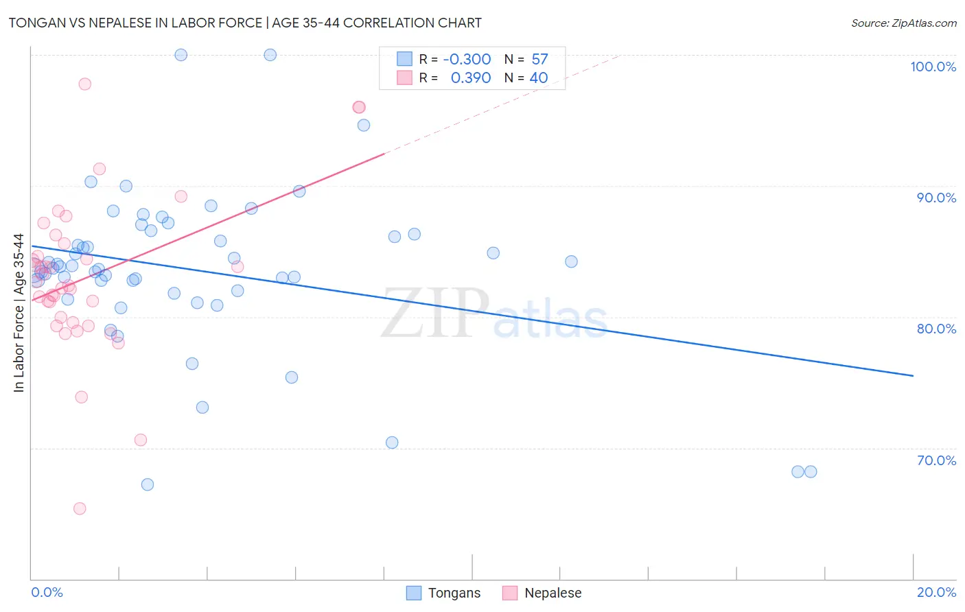 Tongan vs Nepalese In Labor Force | Age 35-44