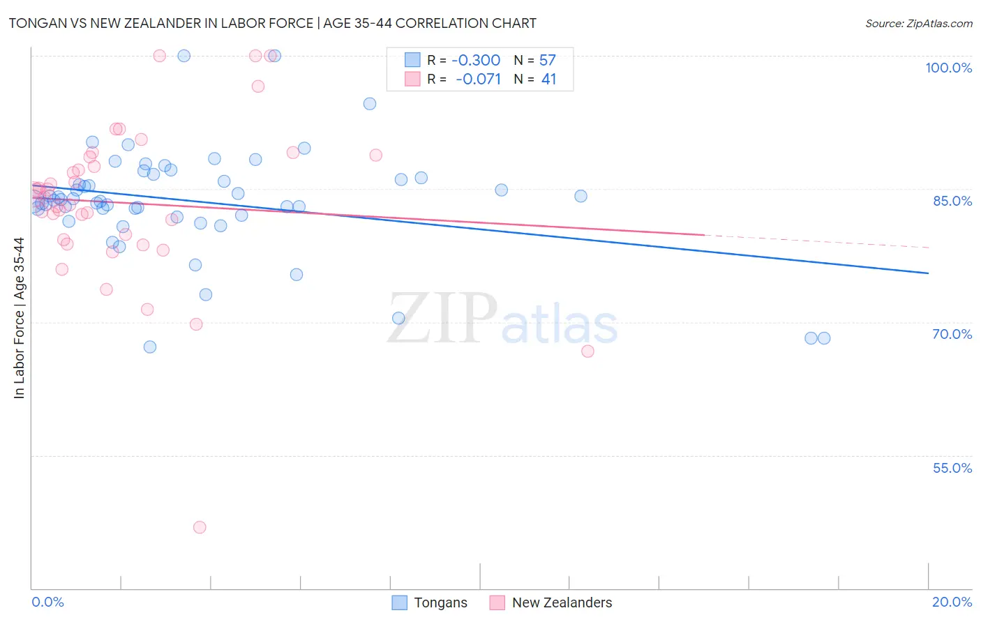 Tongan vs New Zealander In Labor Force | Age 35-44