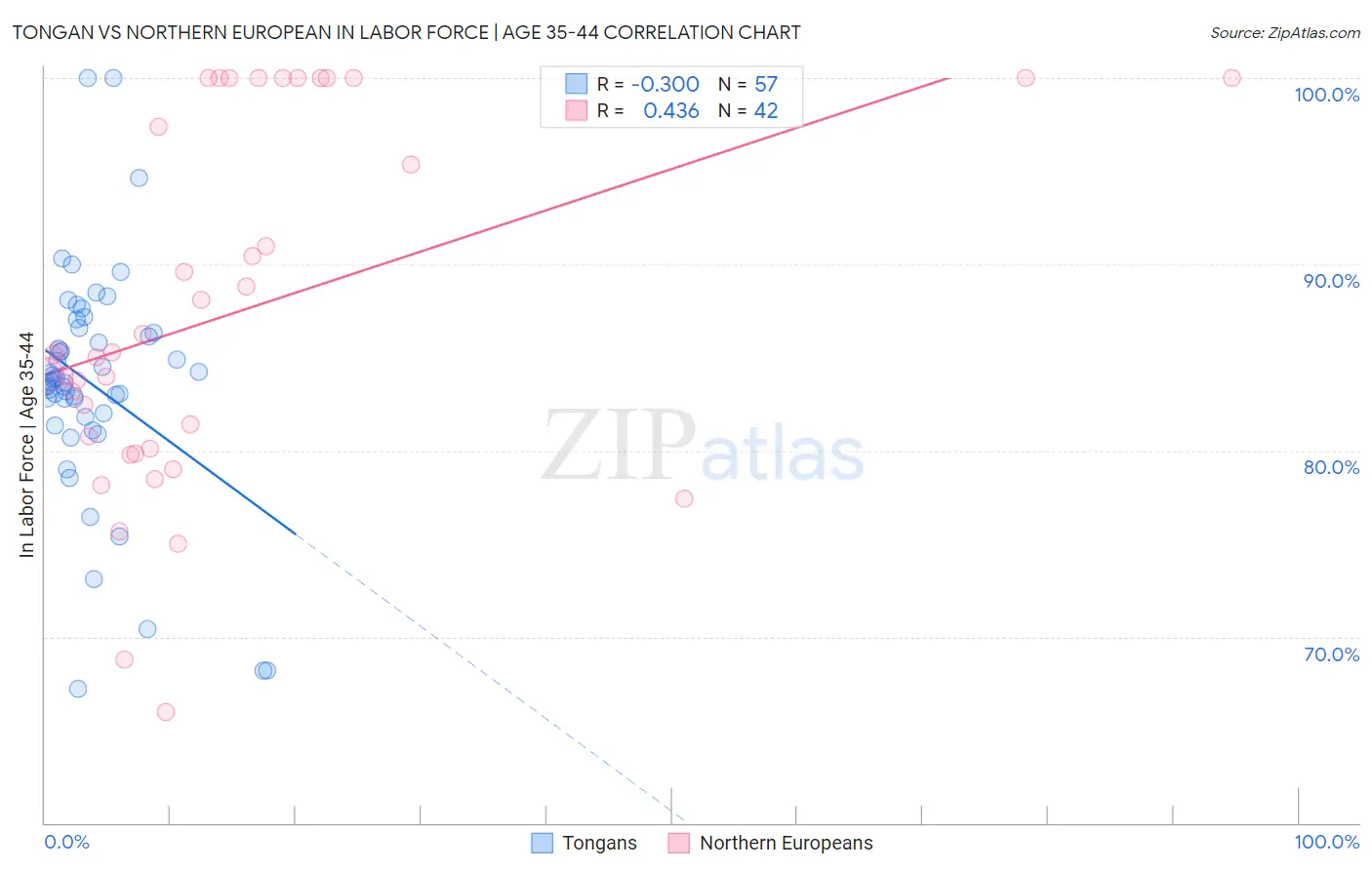 Tongan vs Northern European In Labor Force | Age 35-44