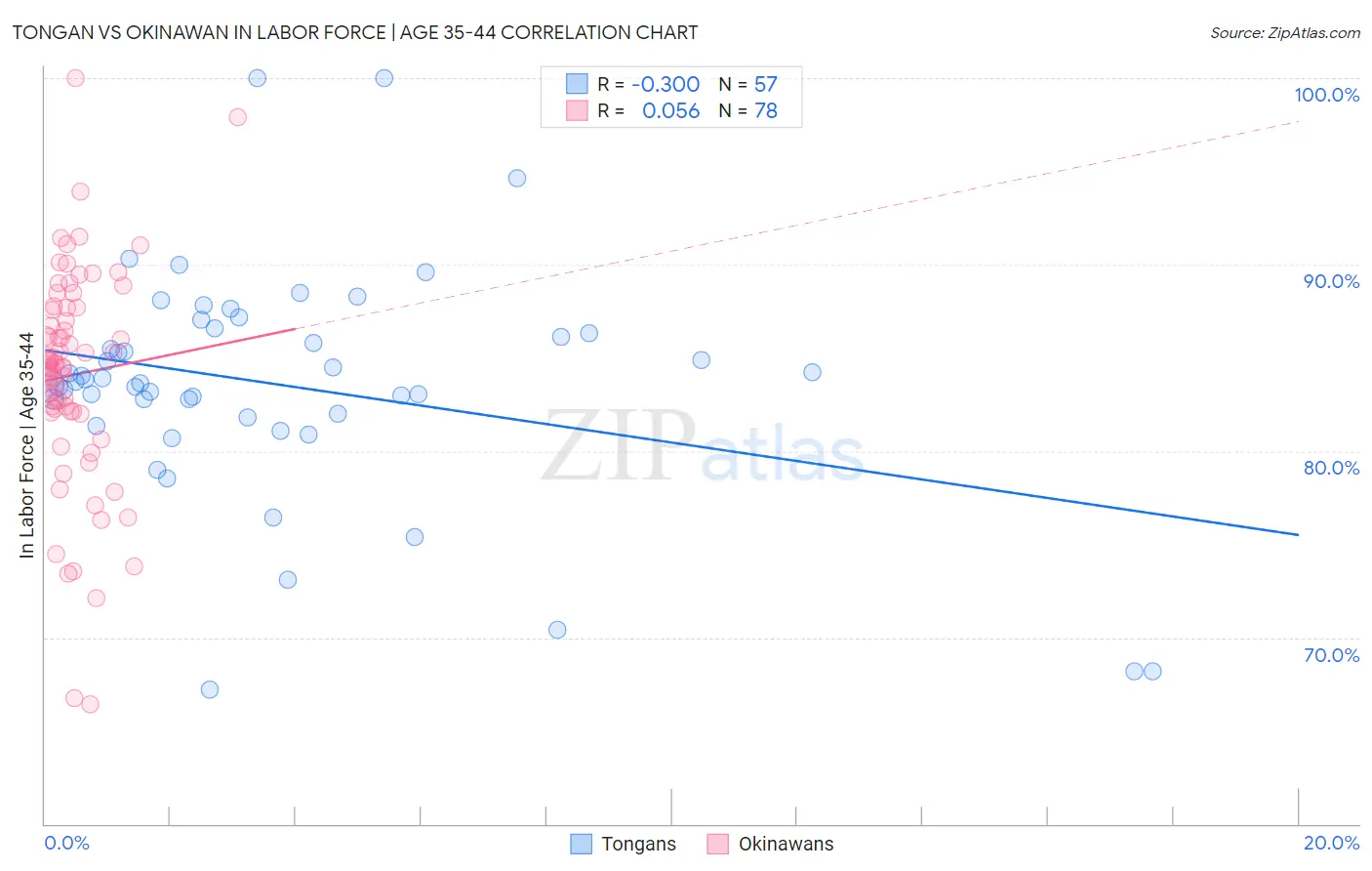 Tongan vs Okinawan In Labor Force | Age 35-44