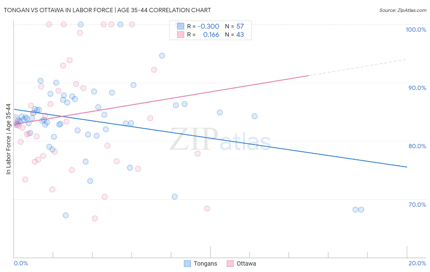 Tongan vs Ottawa In Labor Force | Age 35-44