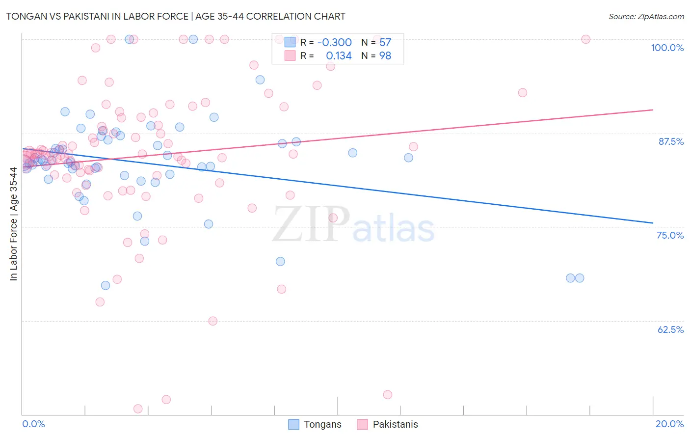 Tongan vs Pakistani In Labor Force | Age 35-44