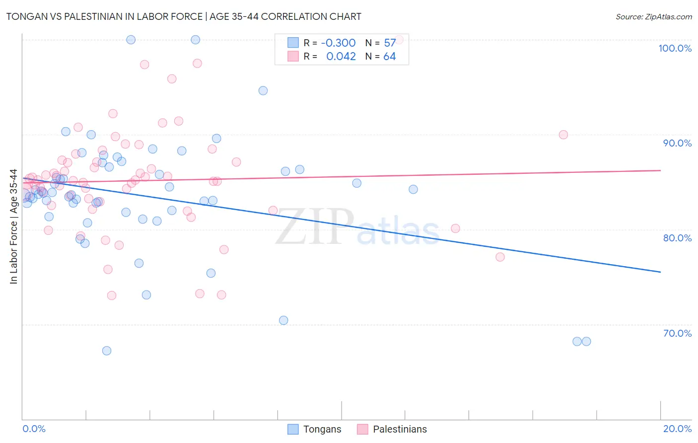 Tongan vs Palestinian In Labor Force | Age 35-44