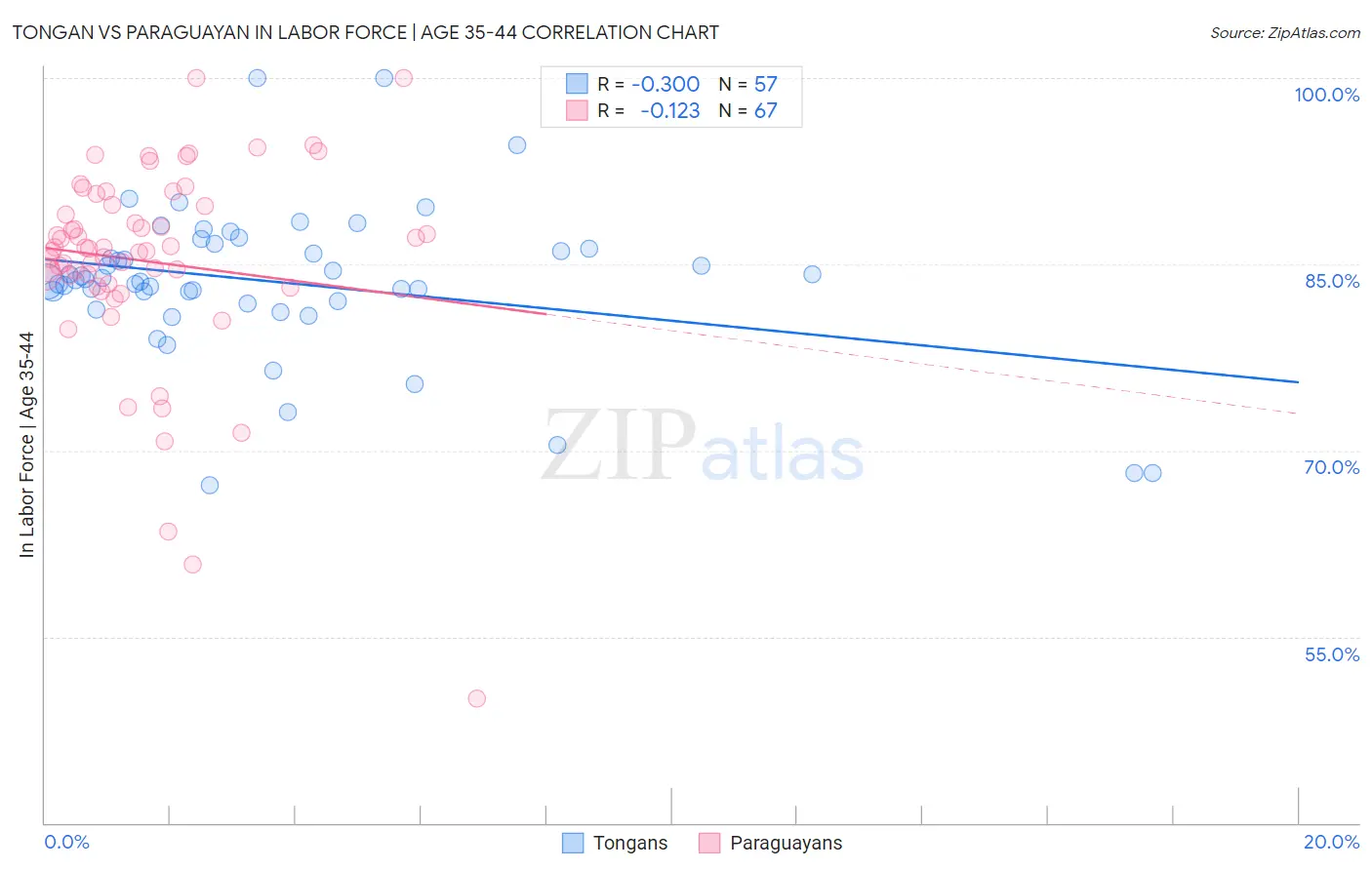 Tongan vs Paraguayan In Labor Force | Age 35-44