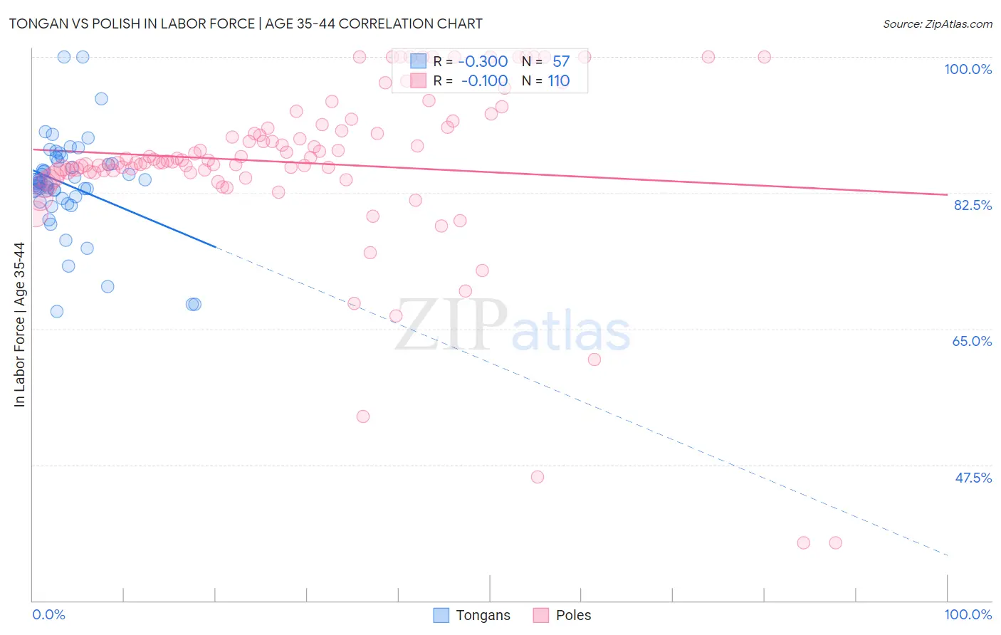 Tongan vs Polish In Labor Force | Age 35-44