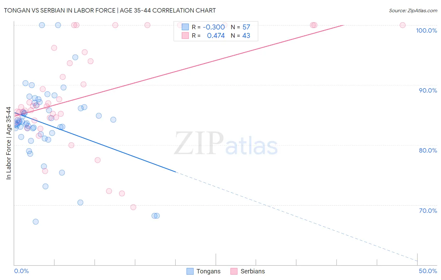 Tongan vs Serbian In Labor Force | Age 35-44