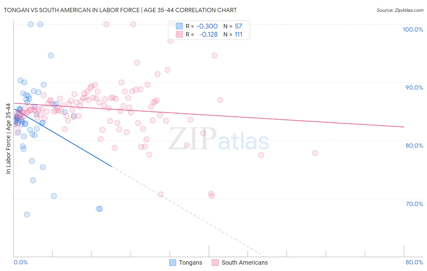 Tongan vs South American In Labor Force | Age 35-44