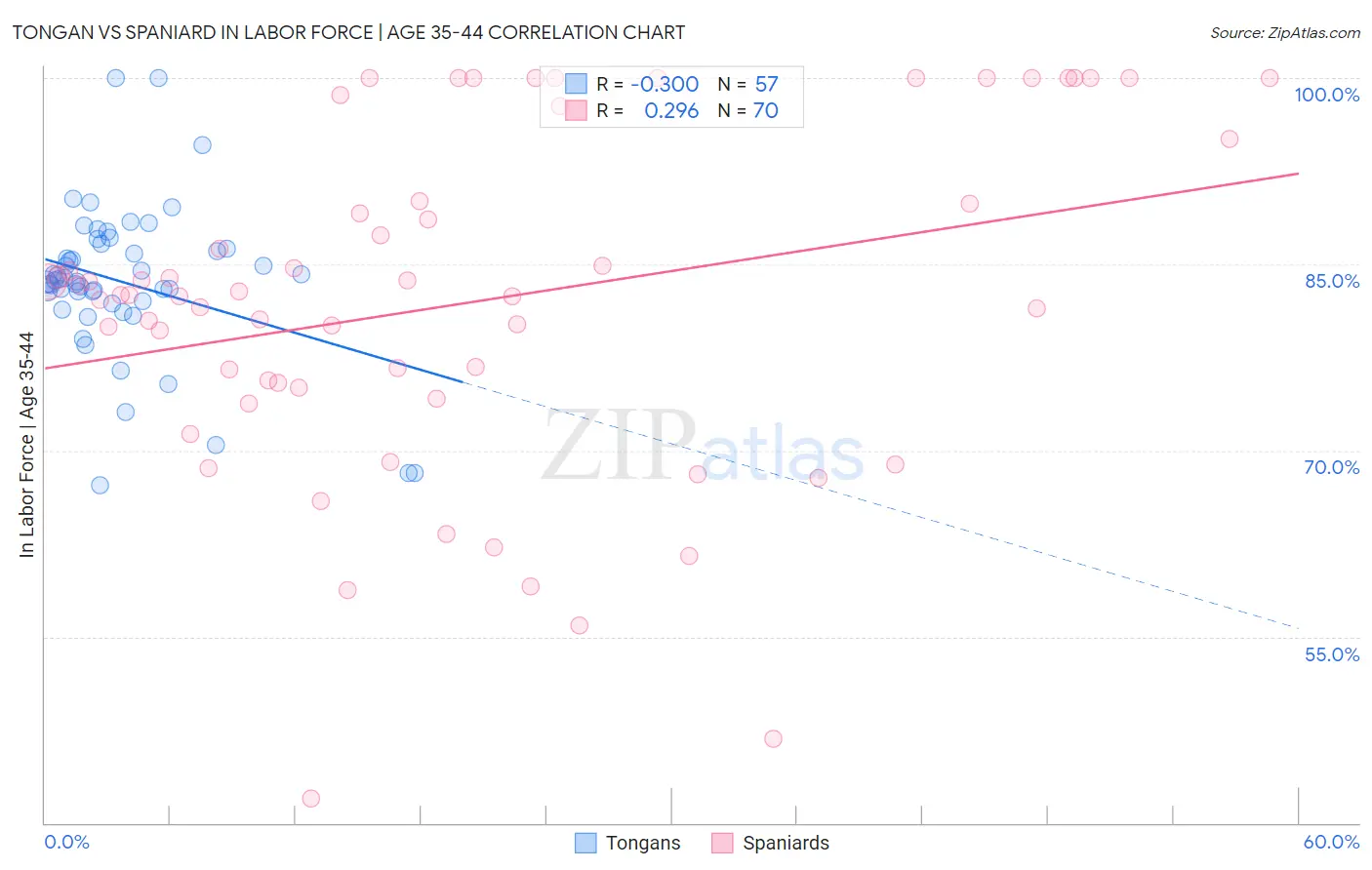 Tongan vs Spaniard In Labor Force | Age 35-44