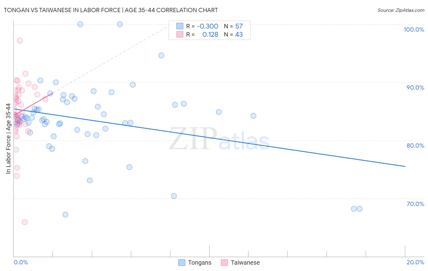 Tongan vs Taiwanese In Labor Force | Age 35-44