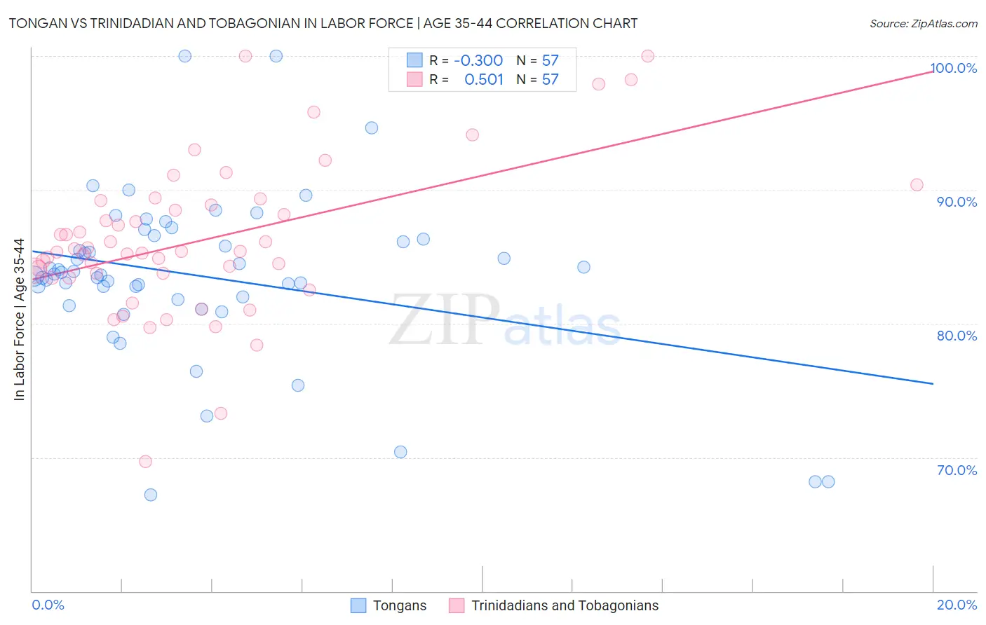 Tongan vs Trinidadian and Tobagonian In Labor Force | Age 35-44