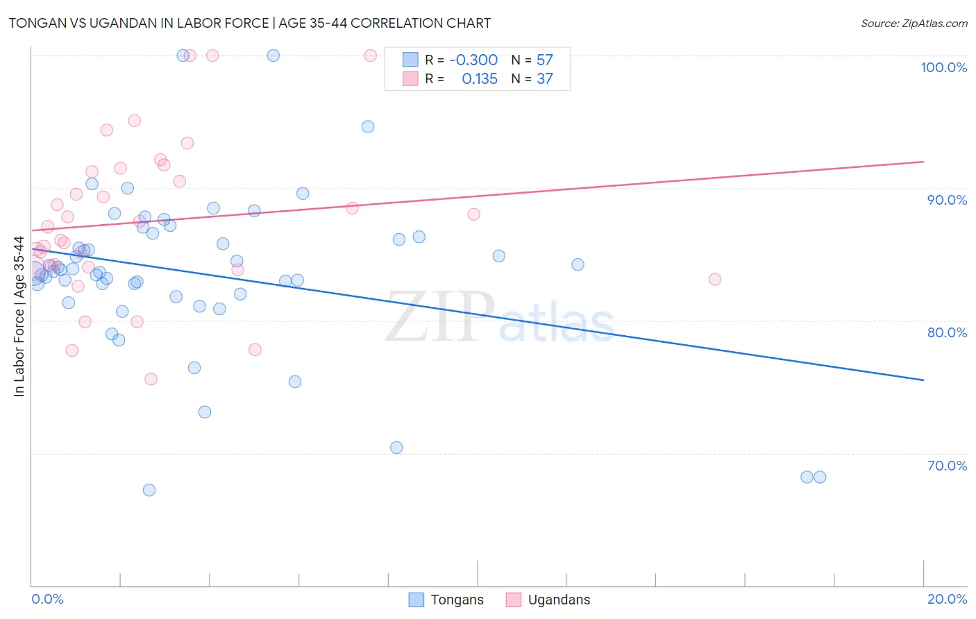 Tongan vs Ugandan In Labor Force | Age 35-44