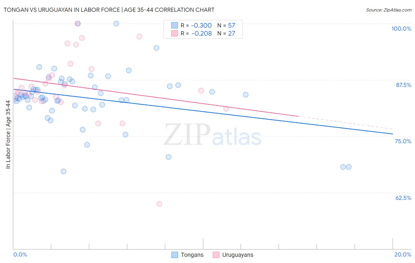 Tongan vs Uruguayan In Labor Force | Age 35-44