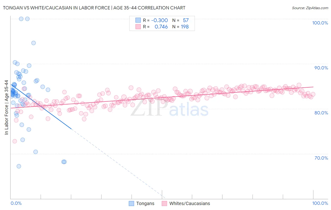 Tongan vs White/Caucasian In Labor Force | Age 35-44