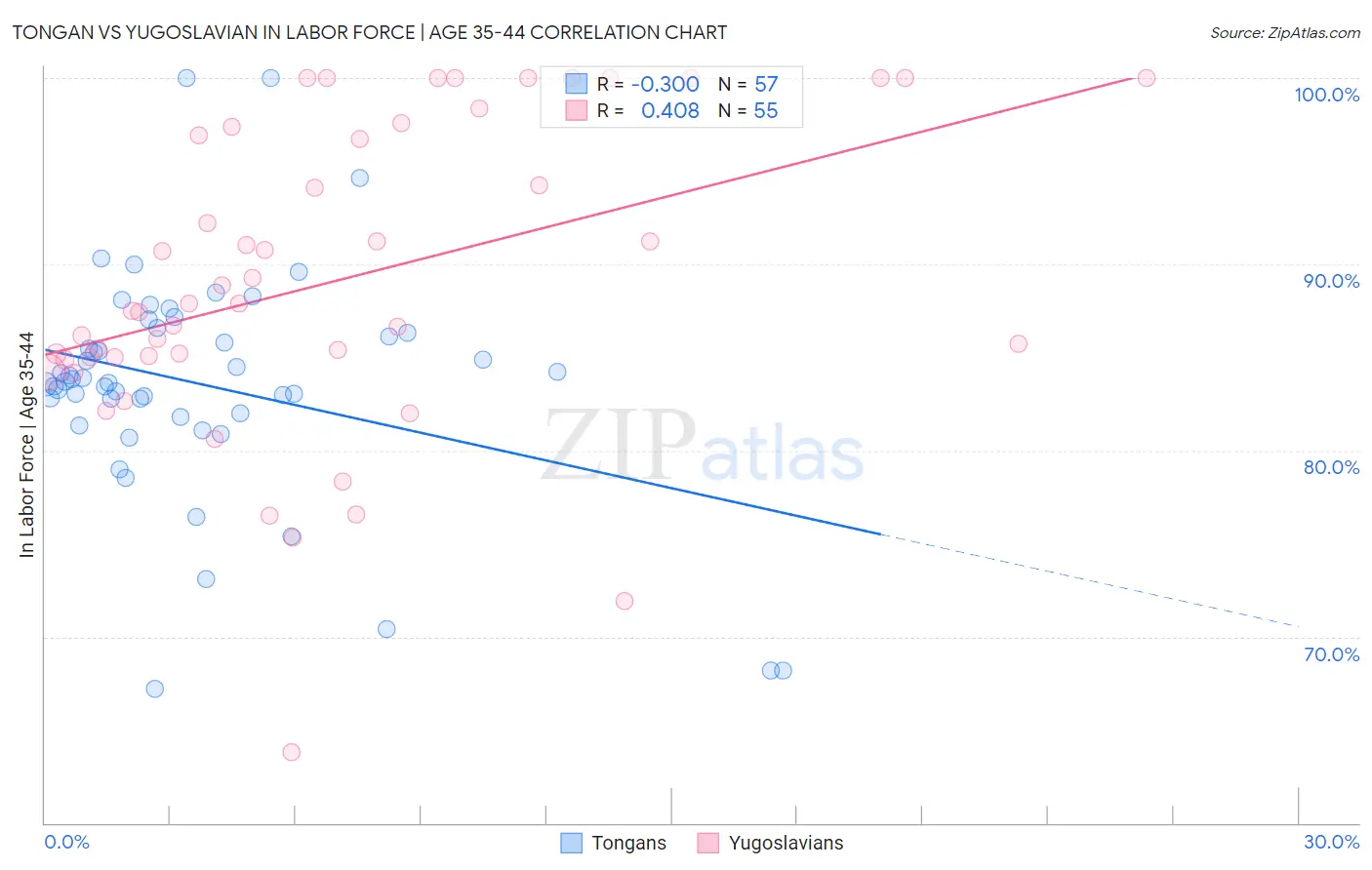 Tongan vs Yugoslavian In Labor Force | Age 35-44