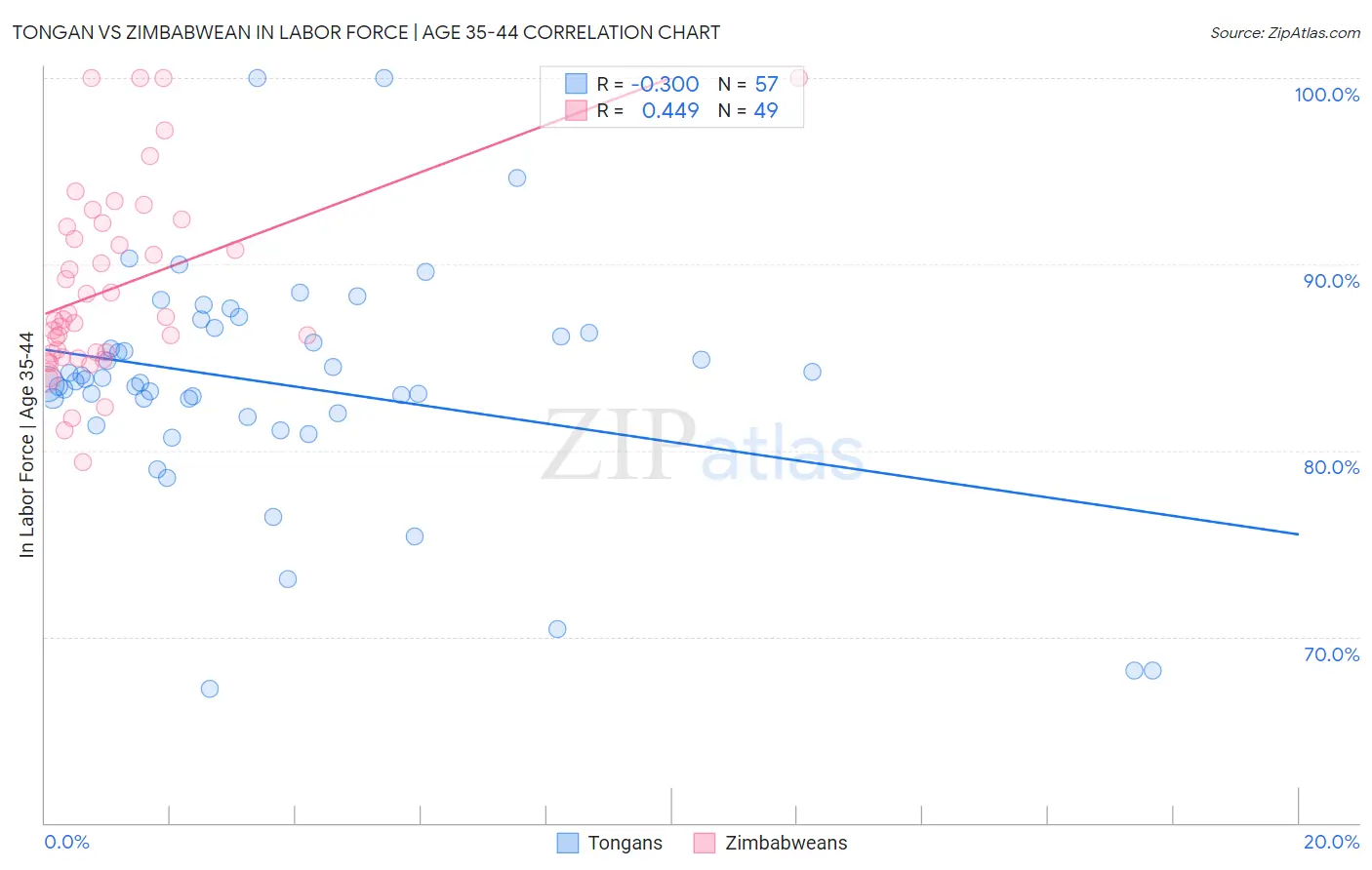 Tongan vs Zimbabwean In Labor Force | Age 35-44