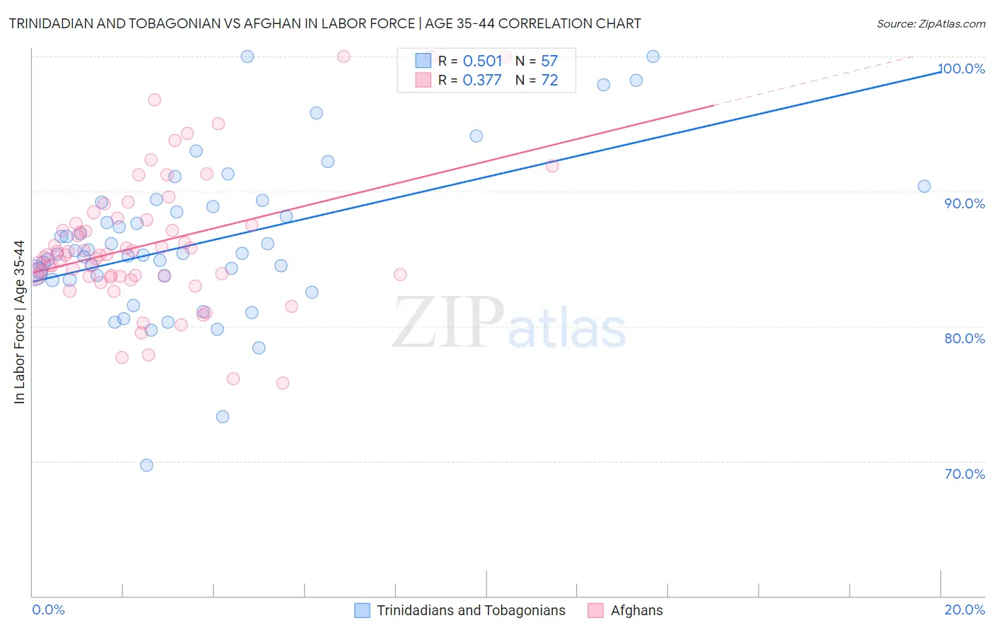 Trinidadian and Tobagonian vs Afghan In Labor Force | Age 35-44