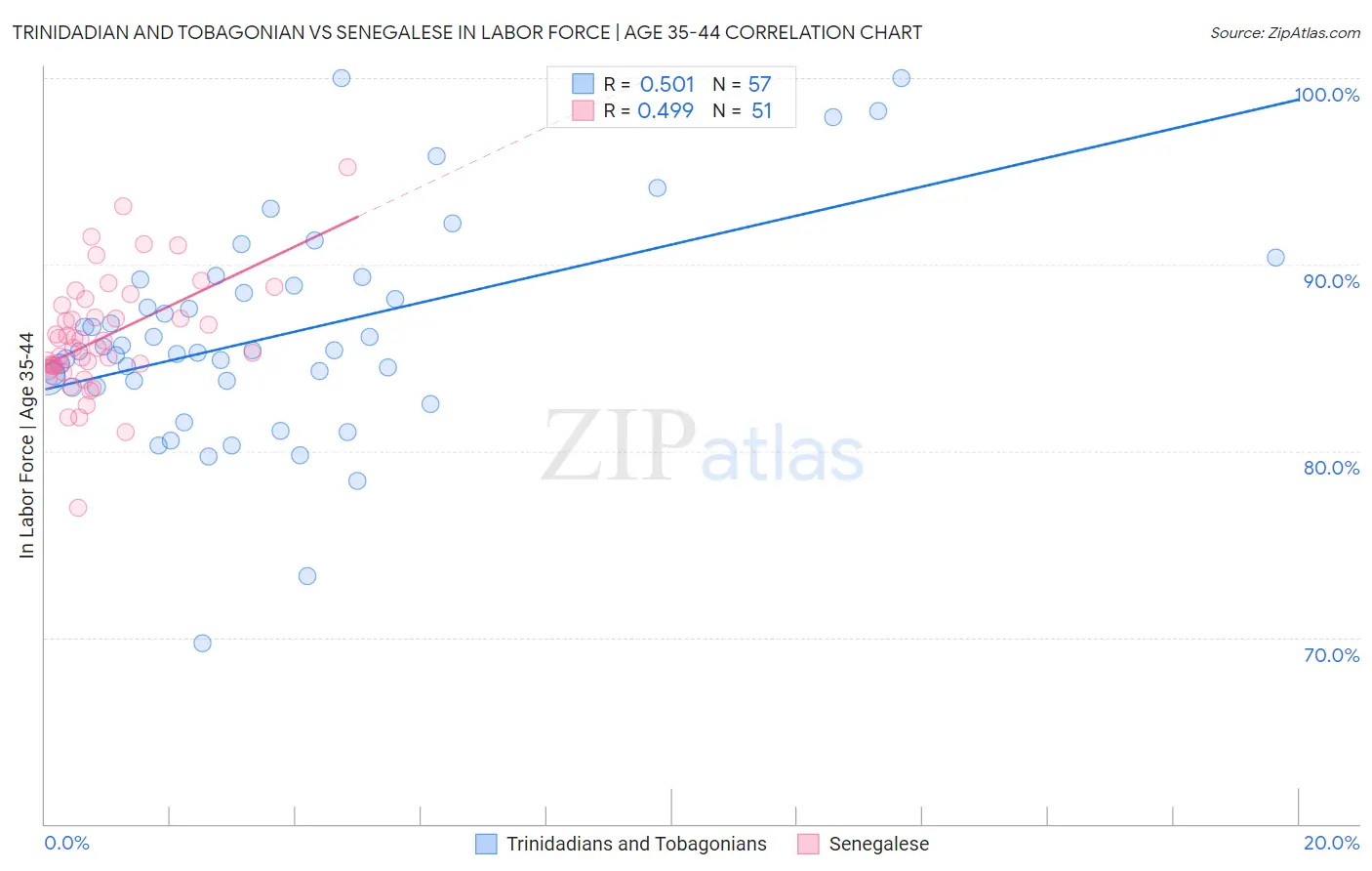 Trinidadian and Tobagonian vs Senegalese In Labor Force | Age 35-44
