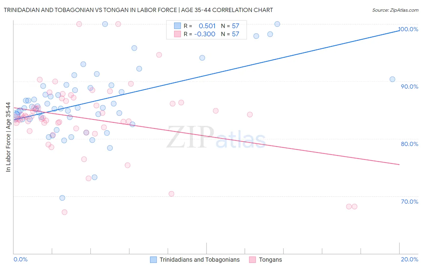Trinidadian and Tobagonian vs Tongan In Labor Force | Age 35-44