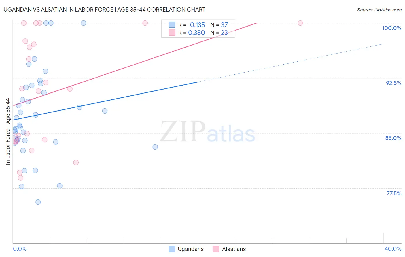 Ugandan vs Alsatian In Labor Force | Age 35-44