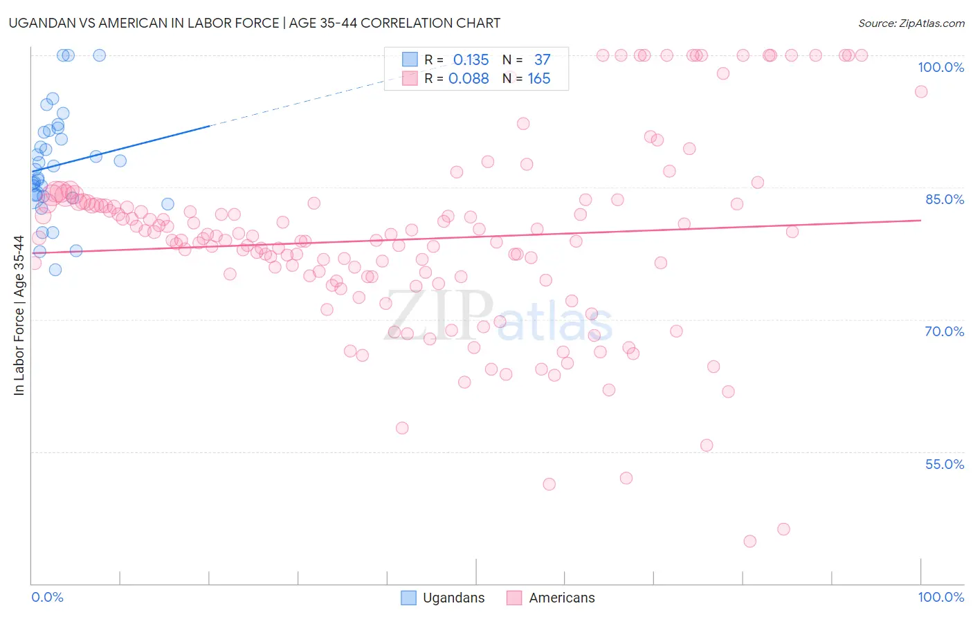Ugandan vs American In Labor Force | Age 35-44