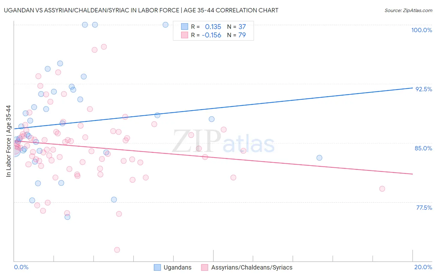 Ugandan vs Assyrian/Chaldean/Syriac In Labor Force | Age 35-44