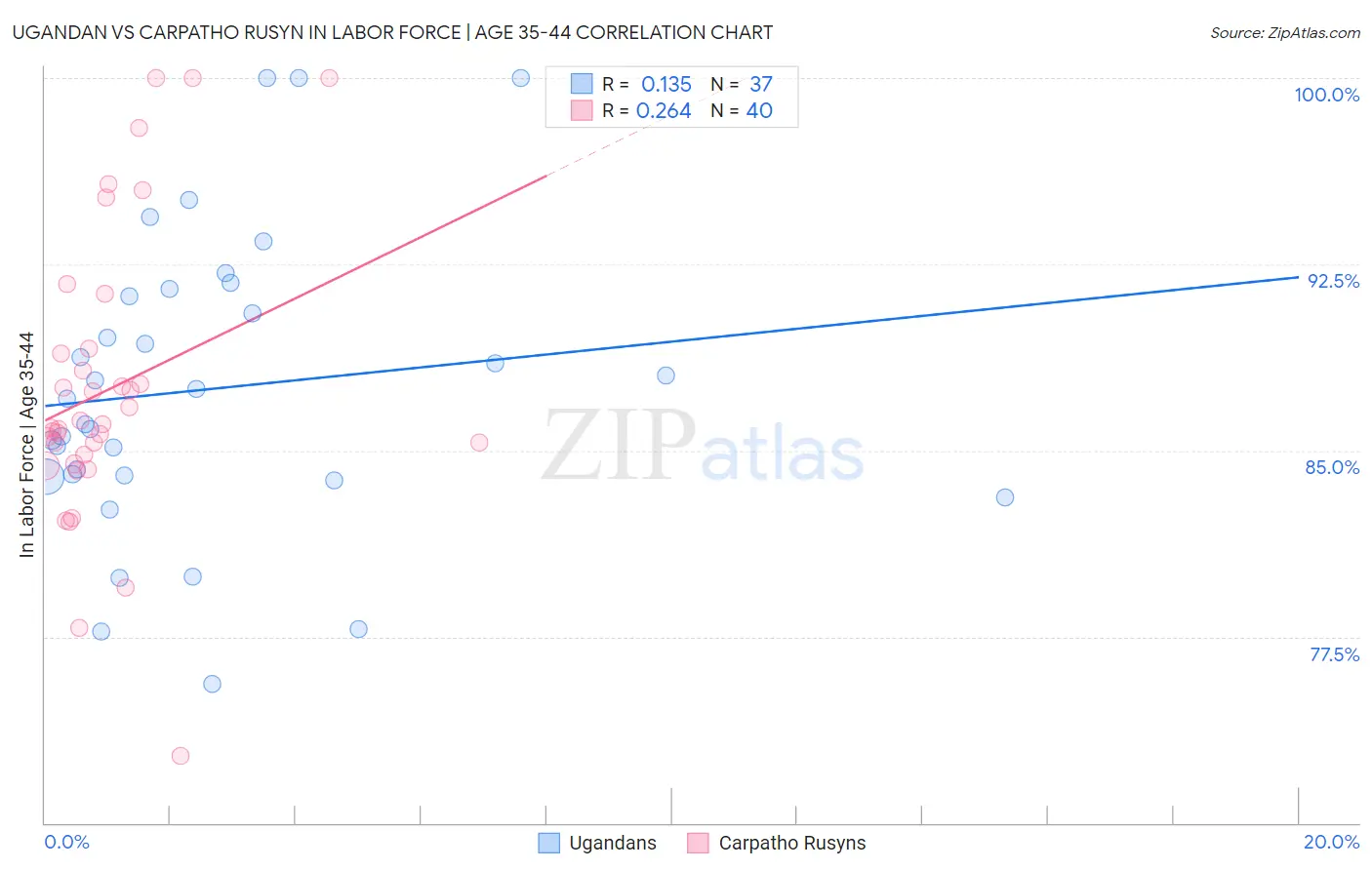 Ugandan vs Carpatho Rusyn In Labor Force | Age 35-44