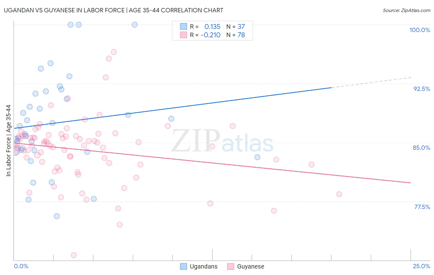 Ugandan vs Guyanese In Labor Force | Age 35-44