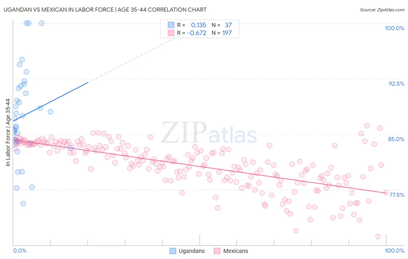 Ugandan vs Mexican In Labor Force | Age 35-44