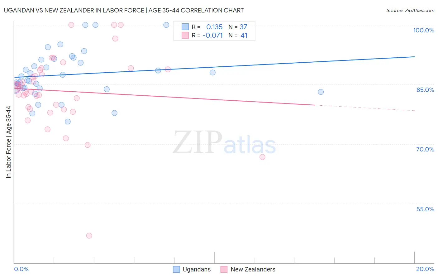Ugandan vs New Zealander In Labor Force | Age 35-44