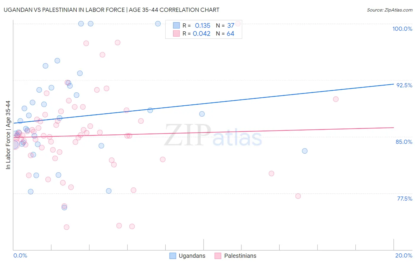 Ugandan vs Palestinian In Labor Force | Age 35-44