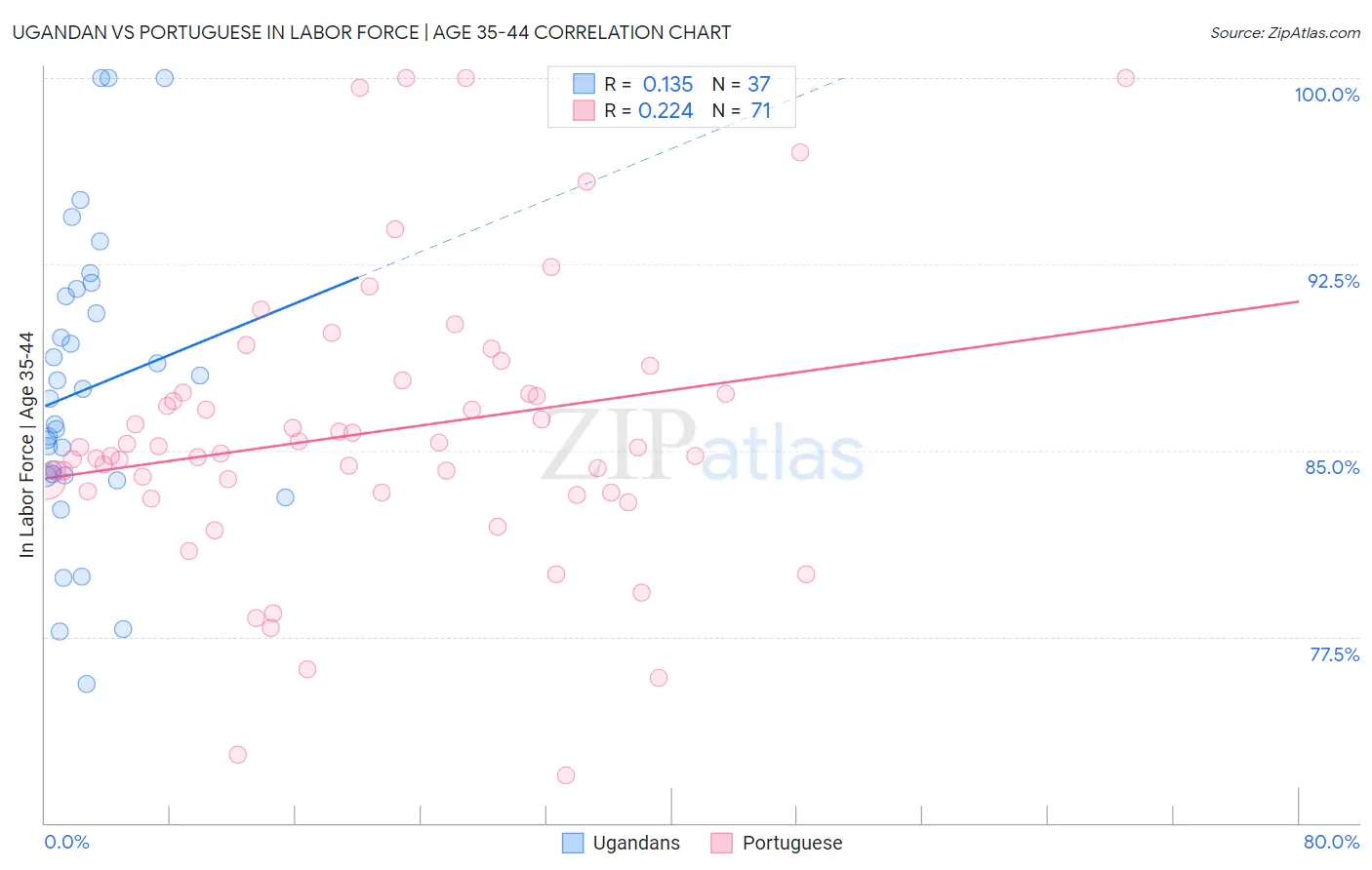 Ugandan vs Portuguese In Labor Force | Age 35-44