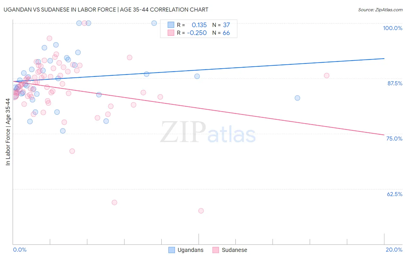 Ugandan vs Sudanese In Labor Force | Age 35-44