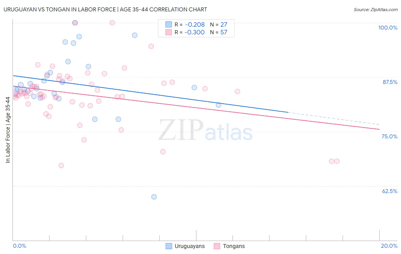 Uruguayan vs Tongan In Labor Force | Age 35-44