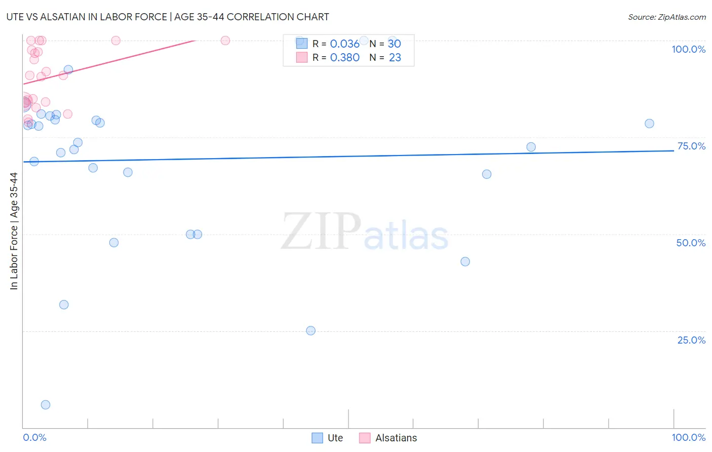 Ute vs Alsatian In Labor Force | Age 35-44