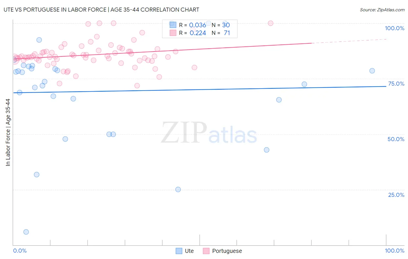 Ute vs Portuguese In Labor Force | Age 35-44